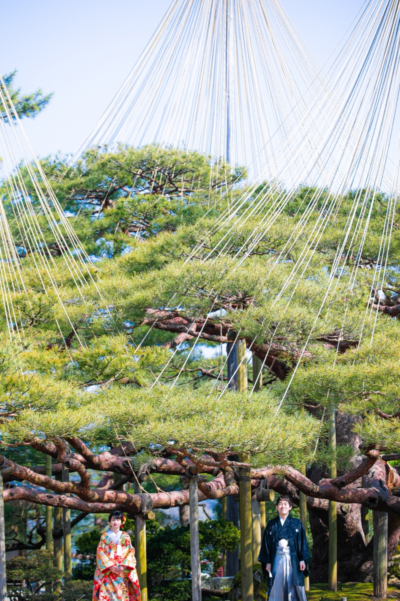 立派な雪吊りの下で1枚