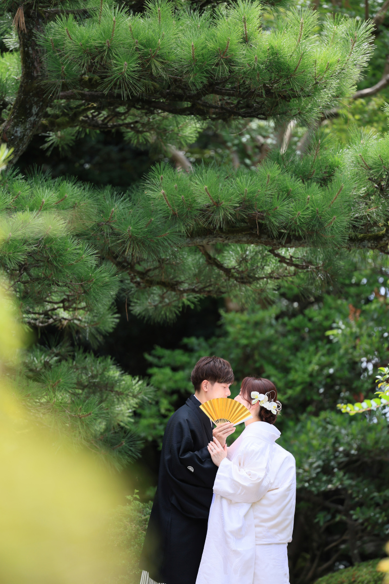 きゅんショット