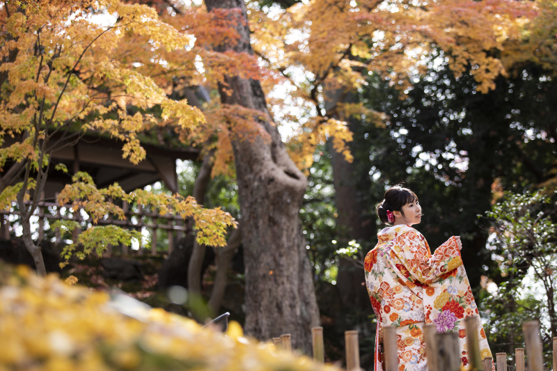 輝く紅葉から覗く光