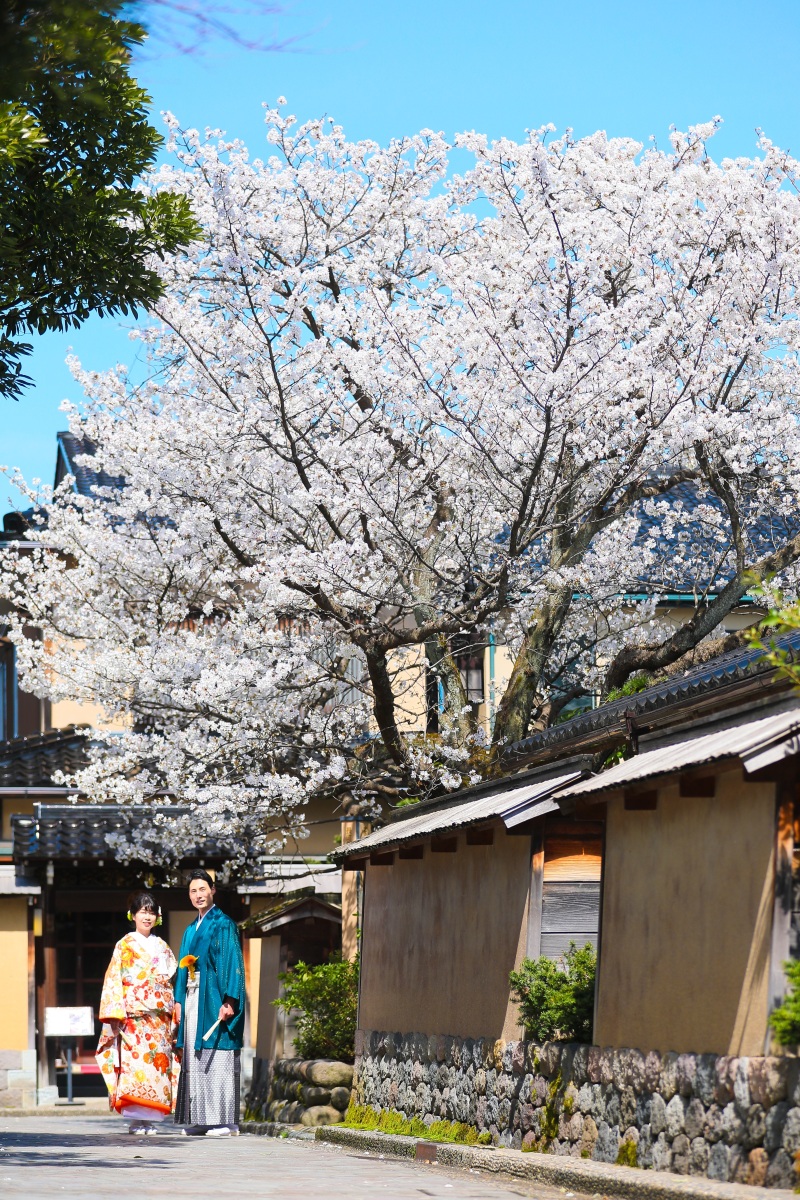 ちょうど桜が満開でした♡