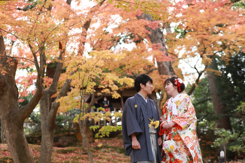 プレイバック！紅葉の季節を先取り♪