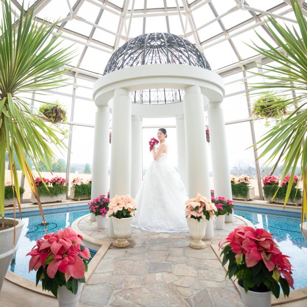 ソロショット☀