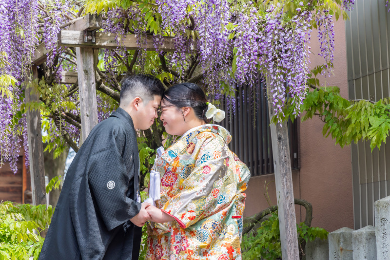 藤の花に包まれて