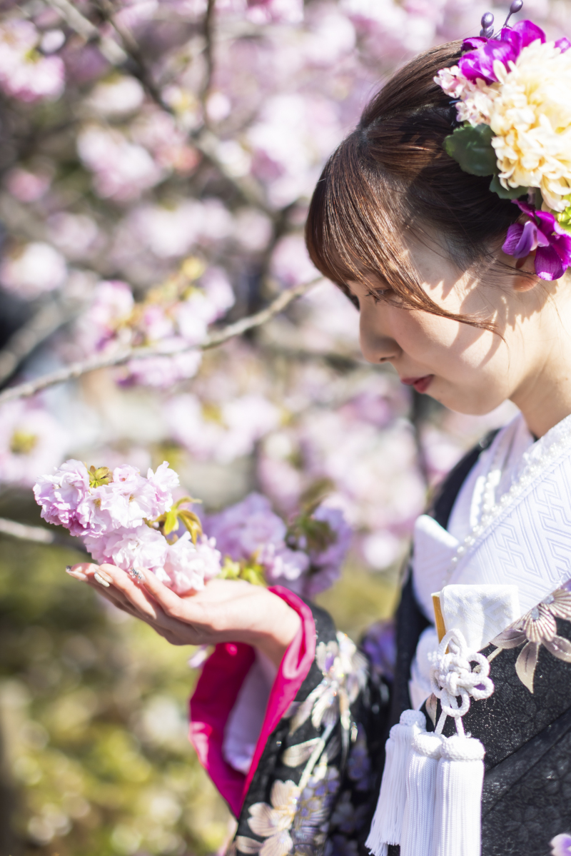 春光に包まれて