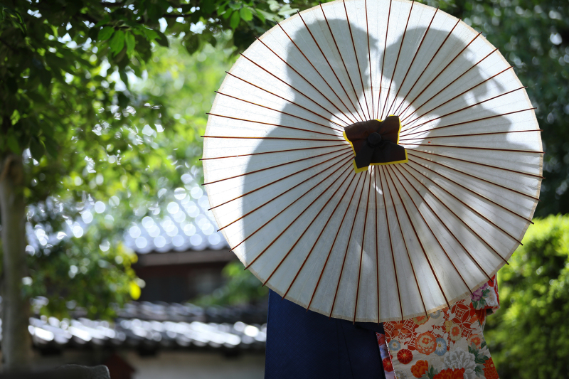 シルエットでフレッシュな光を