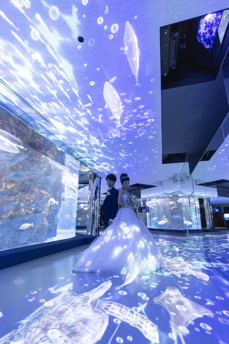 海の世界に包まれて