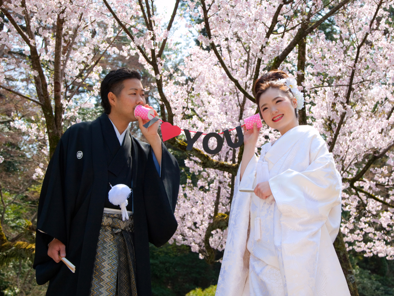 桜シーズンのロケ