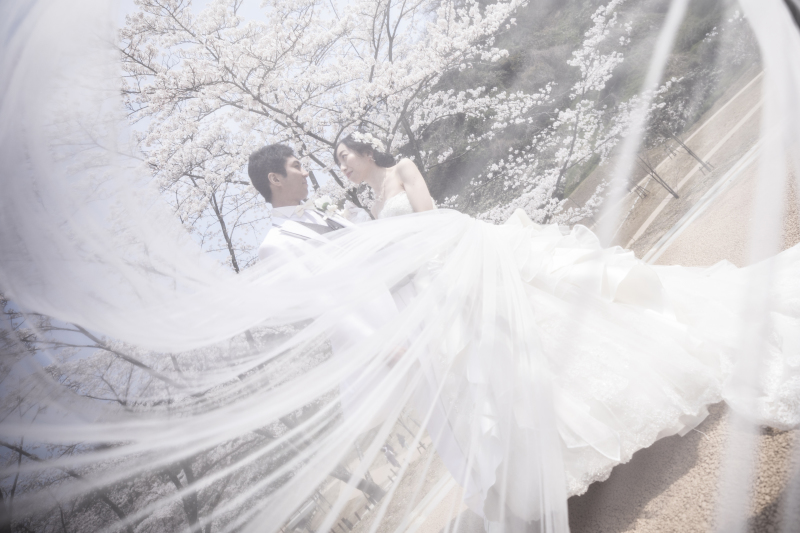 ベールに包まれて