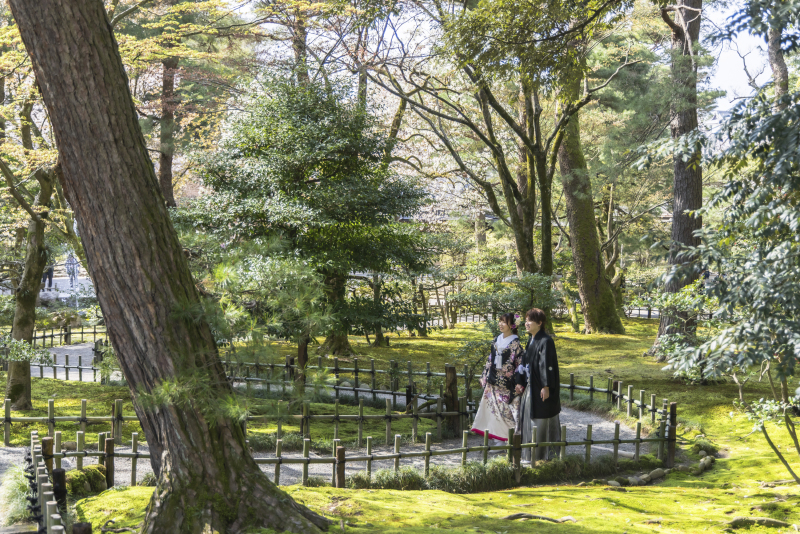 緑に包まれる散歩道
