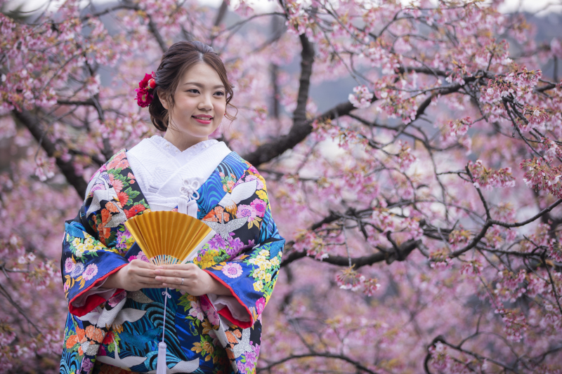 桜一面のソロショット!