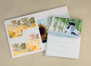 クレイ（30カット）