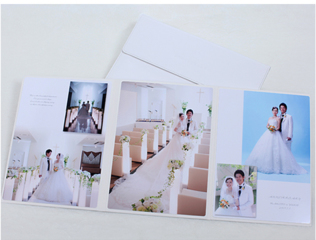 シエロ（5カット）Mサイズ