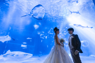 Heart Studio金沢店（アフロディーテ金沢店）_ロケーション　ドレス