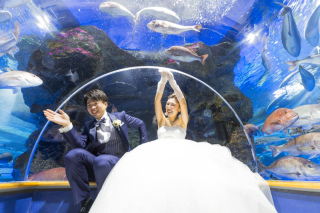 Heart Studio金沢店（アフロディーテ金沢店）_ロケーション　ドレス