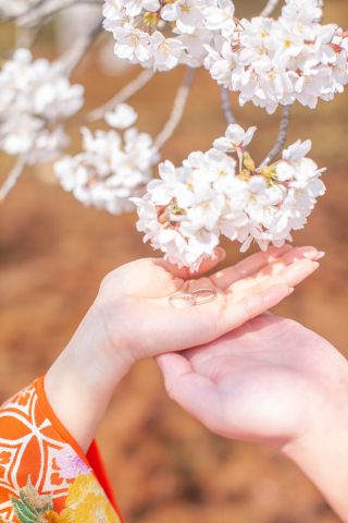 Heart Studio金沢店（アフロディーテ金沢店）_春　ロケーション