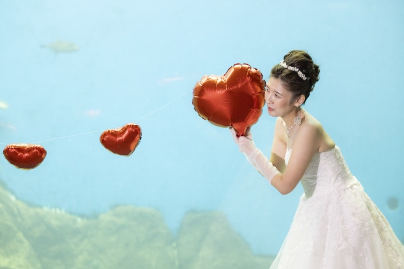 【一日のはじまりに誓う永遠】のとじま水族館はじまりの海フォトウェディング~朝限定の特別撮影プラン~