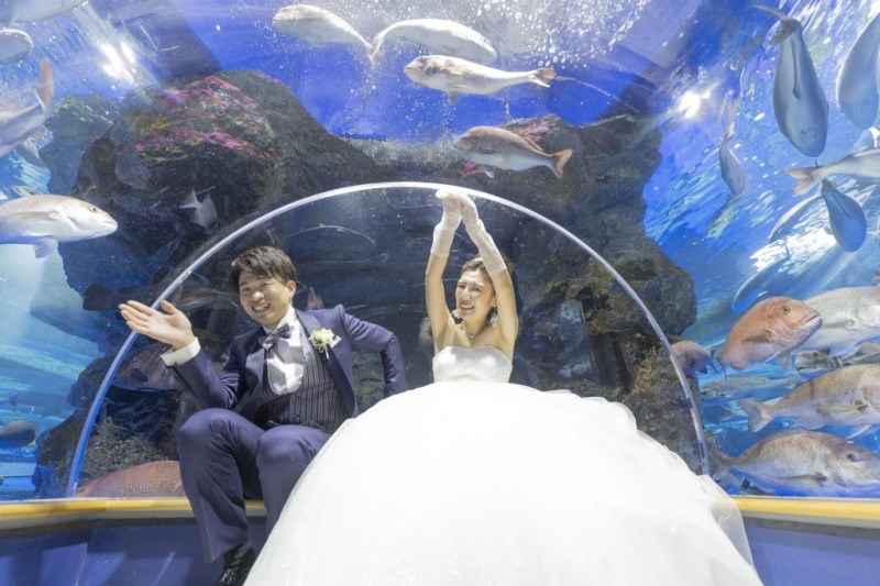 憧れの水族館ウエディング!【のとじま水族館フォトウェディングプラン】