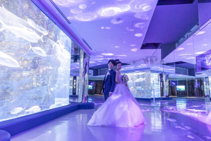【一日のはじまりに誓う永遠】のとじま水族館はじまりの海フォトウェディング~朝限定の特別撮影プラン~
