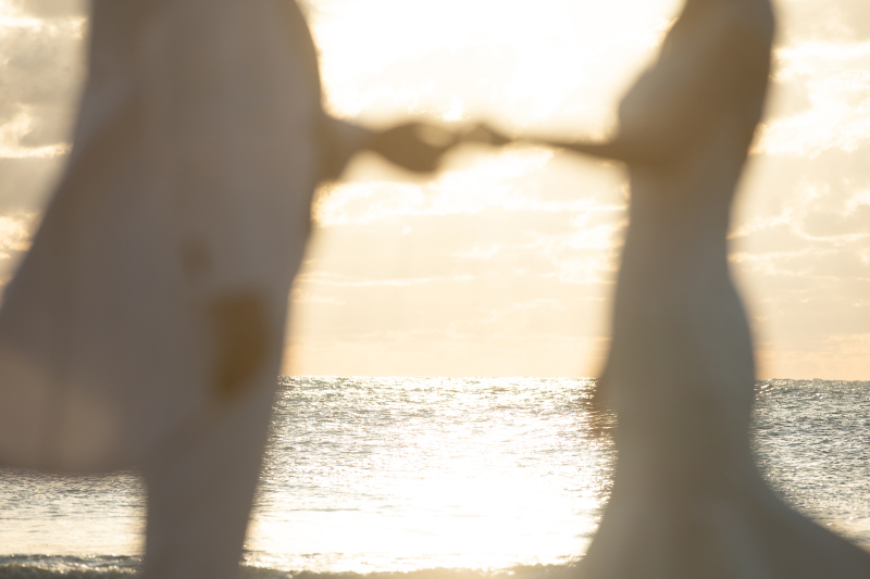 【受賞フォトグラファーの技術】×【ドレス専門店の美衣装】金沢ロケーションフォト<洋装1着◇事前衣装試着も可能!>