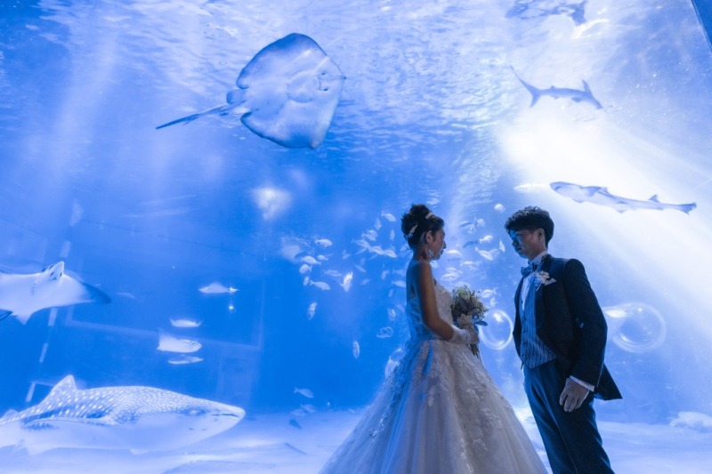 憧れの水族館ウエディング!【のとじま水族館フォトウェディングプラン】