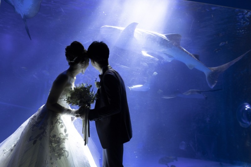 【一日のはじまりに誓う永遠】のとじま水族館はじまりの海フォトウェディング~朝限定の特別撮影プラン~