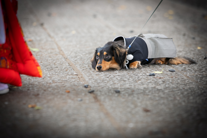 たくさん歩いたのでちょっと休憩…