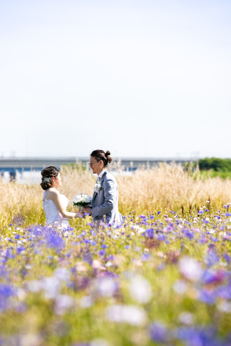 可愛らしいポピー畑で