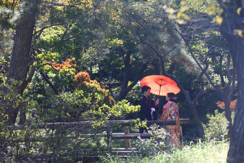 当店の和傘をつかって