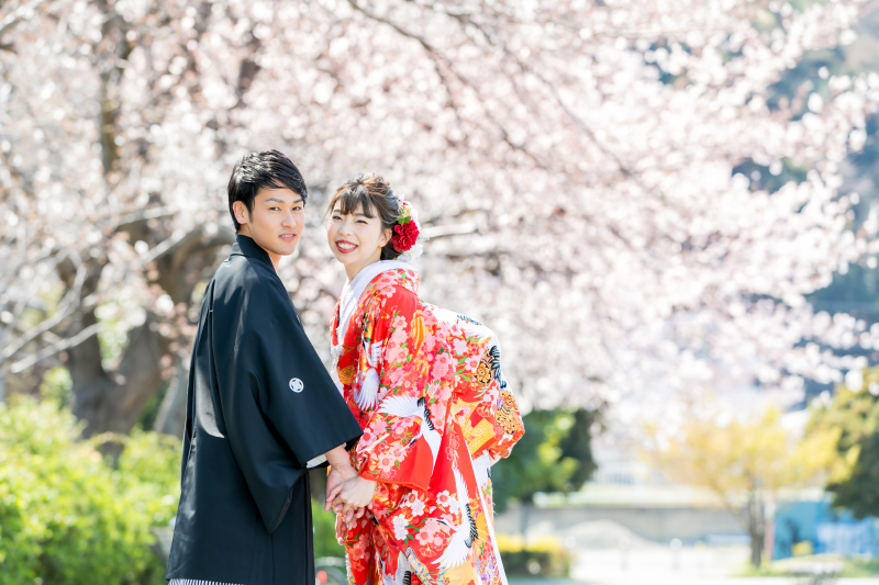 桜に囲まれてのロケーション!