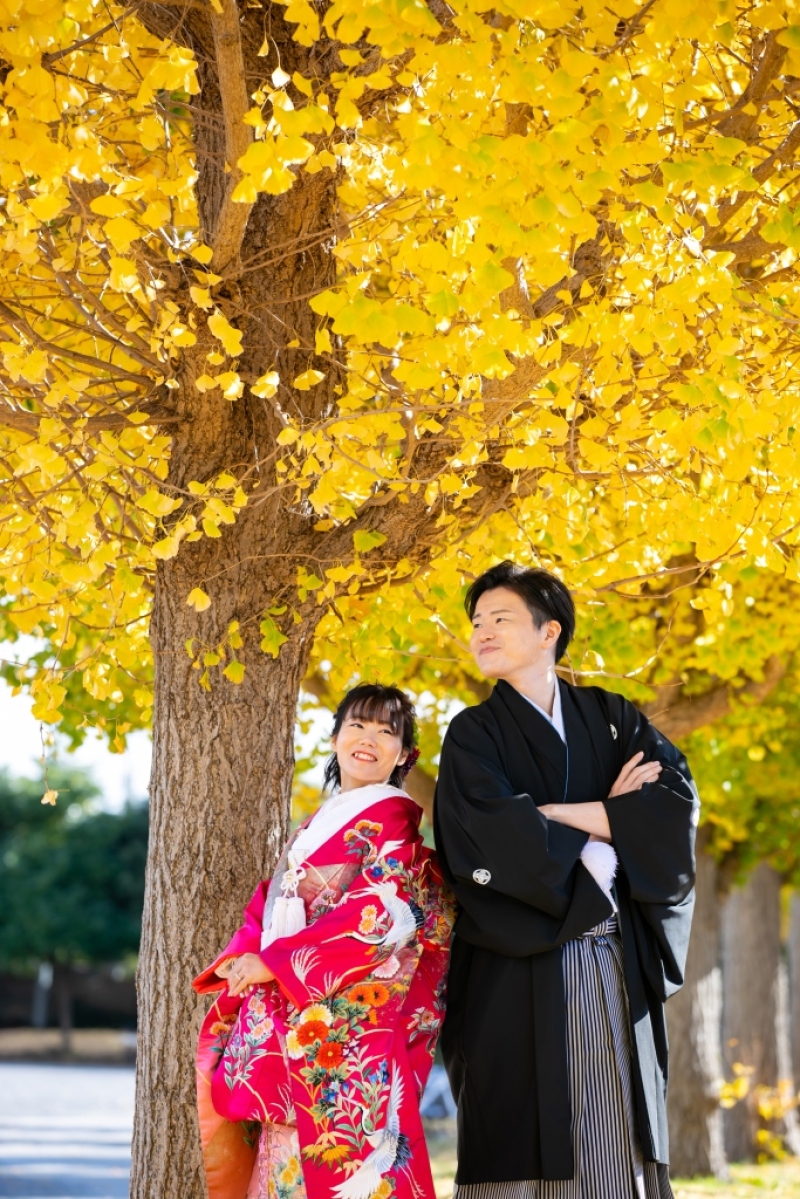 和装×イチョウ　ロケーションフォト！