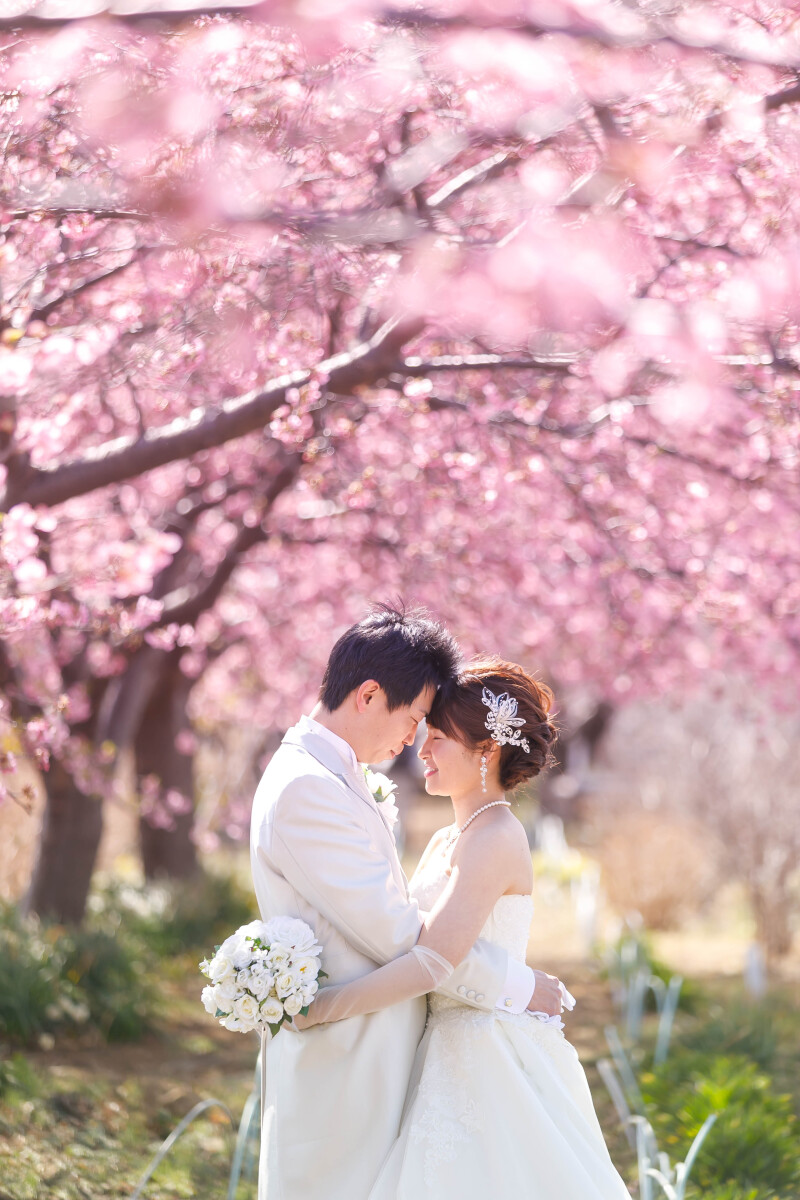 真っ白なウエディングドレスにピンクの桜が映える！