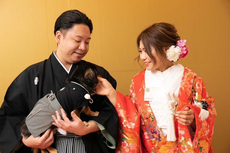 わんちゃんが登場！