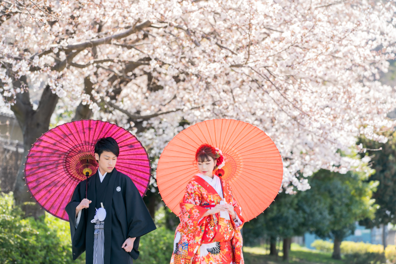 和傘を使えばガラッと和の雰囲気に大変身!