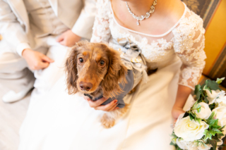 フォトウェディングLucia平塚店_ペットと一緒に