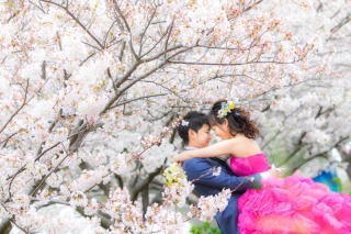 フォトウェディングLucia平塚店_.*+❀さくらフォト❀+*.