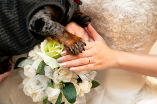 フォトウェディングLucia平塚店_ペットと一緒に