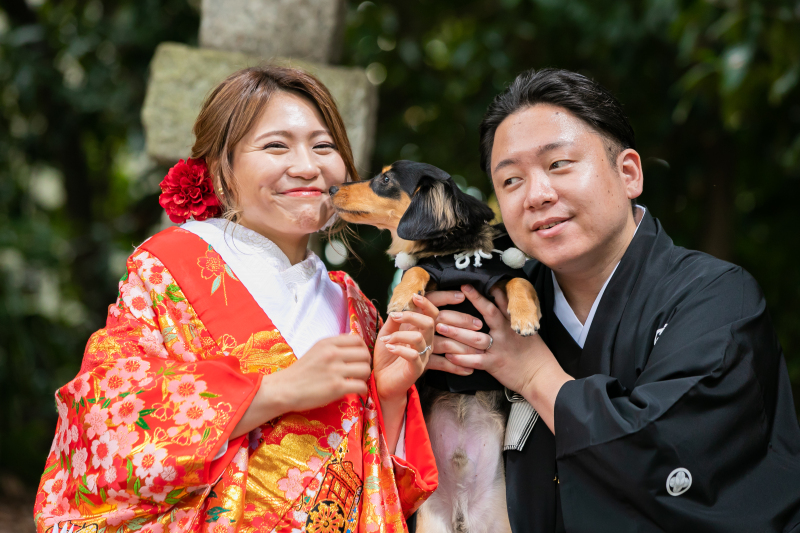 大切なペットと一緒に♪和装×神社ロケプラン(データ50カット付き)