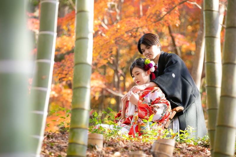 ◆予約受付スタート◆紅葉フォトプラン(データ50カット付)