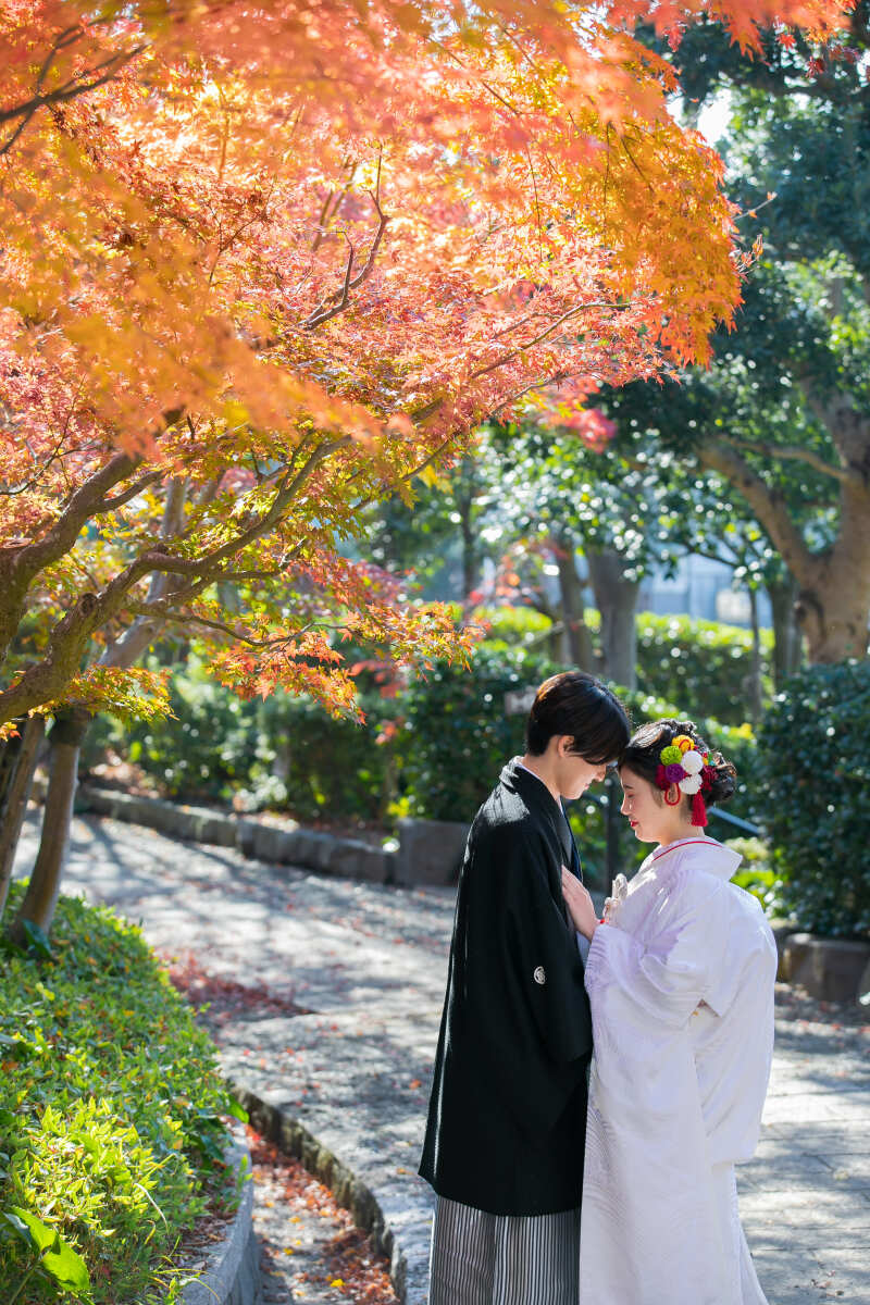 ◆予約受付スタート◆紅葉フォトプラン(データ50カット付)