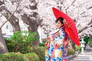 【和装】桜ロケーション