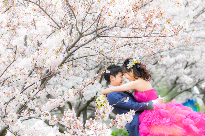 満開の桜の中で前撮り♪