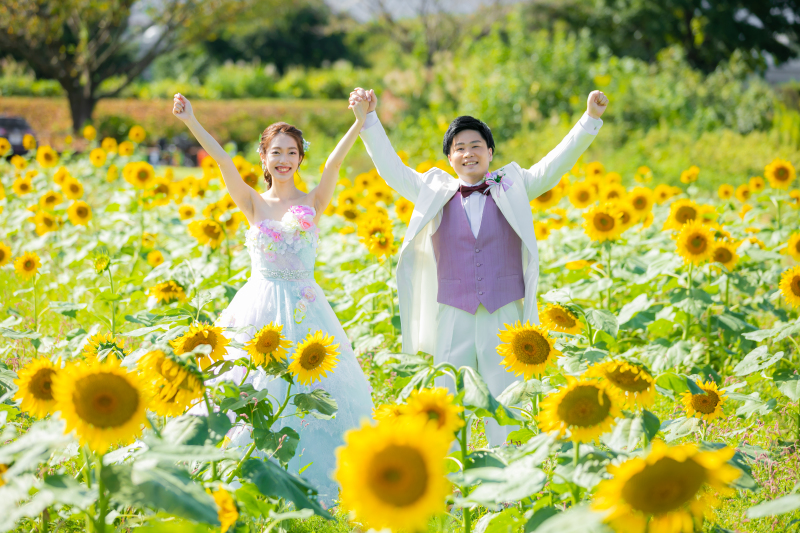 ひまわりに囲まれて♪