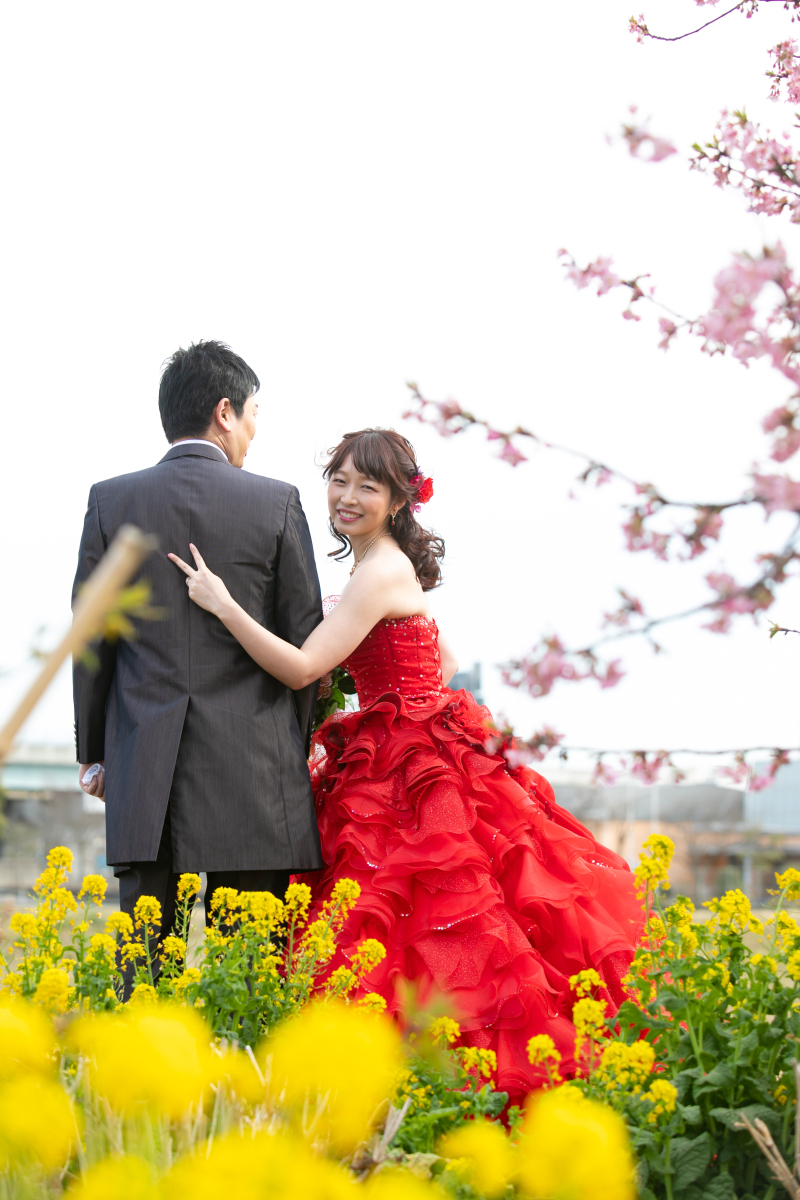 ✿ウェディングドレス✿Aライン 編み上げ 桜ドレス 前撮り ロケフォト 桜 ✿ウェディングドレス✿Aライン 編み上げ 桜ドレス 前撮り