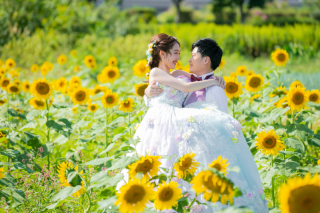 季節のお花で♪ひまわり畑ロケーション