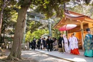 平塚八幡宮で神前挙式