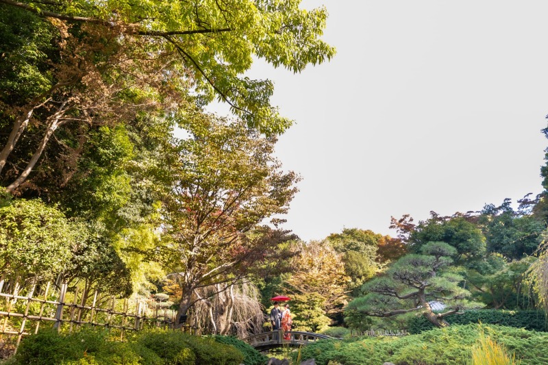 引きでも１枚！