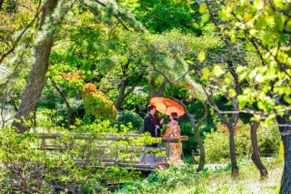 フォトウェディングLucia茅ヶ崎店_春を感じる♪新緑フォト