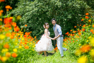 フォトウェディングLucia茅ヶ崎店_春を感じる♪新緑フォト