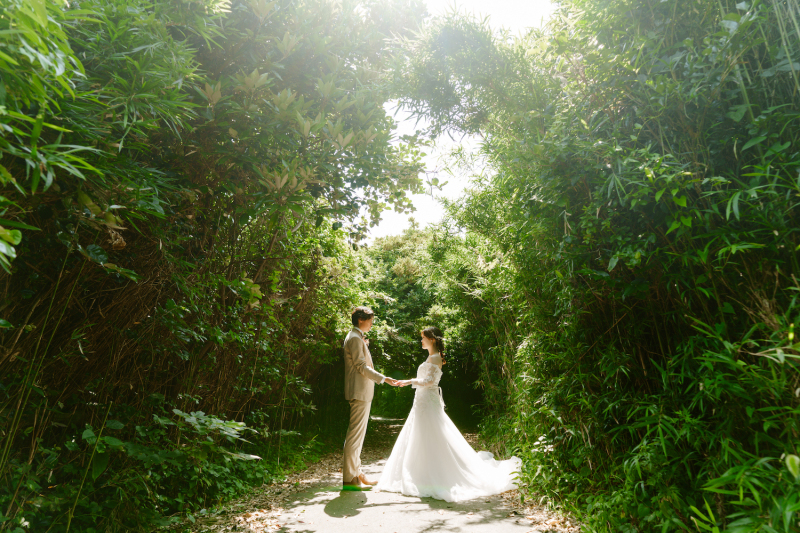 木々に囲まれた場所に光が差し込む