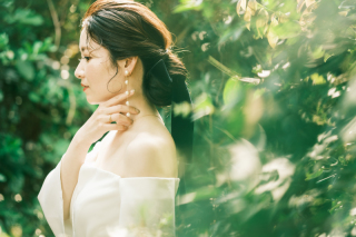 きれいにきれいに